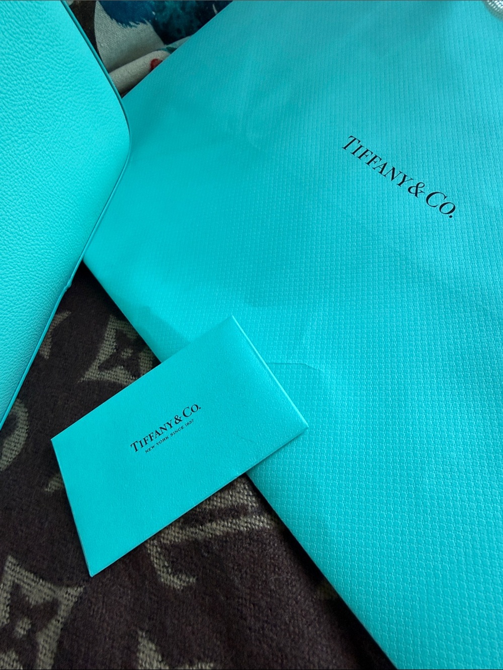 Tiffany & Co. Tiffany Blue Backpack - Picture 10 of 11